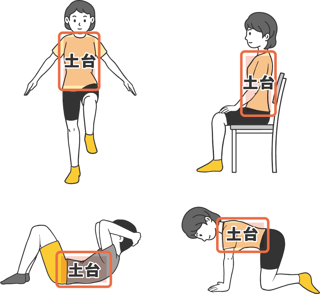 体幹の土台を示したイラスト