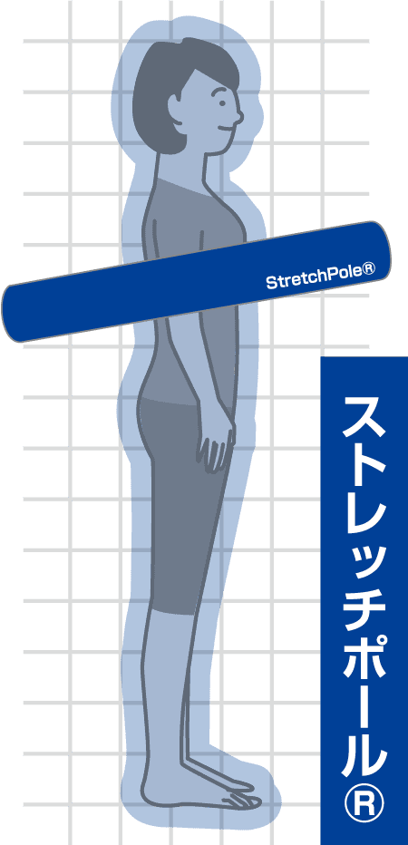 ストレッチポールの説明イラスト