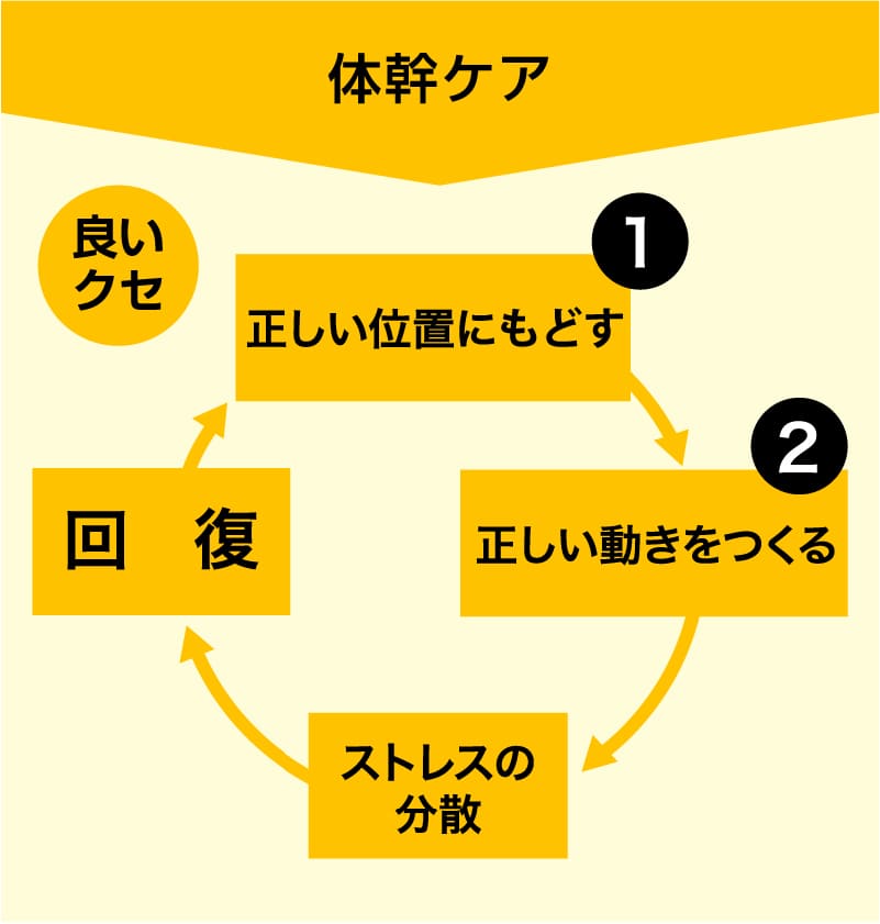 体幹ケアの施術サイクル
