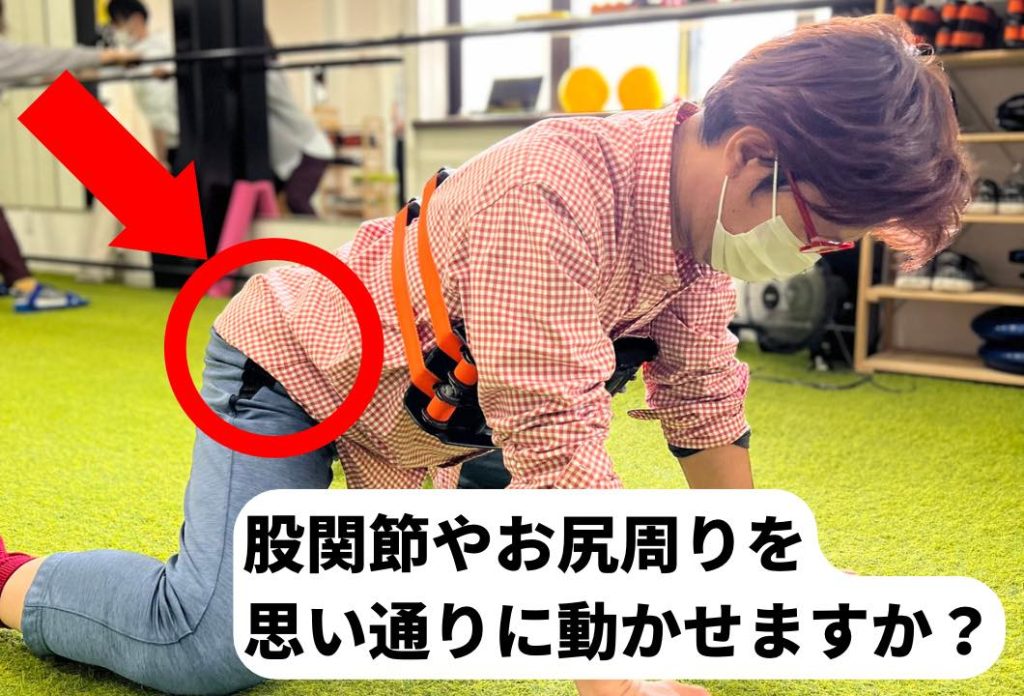 【LIFE STYLE ＋Rebody 】 (あなたらしい健康充実習慣 ＋より動けるカラダつくり)