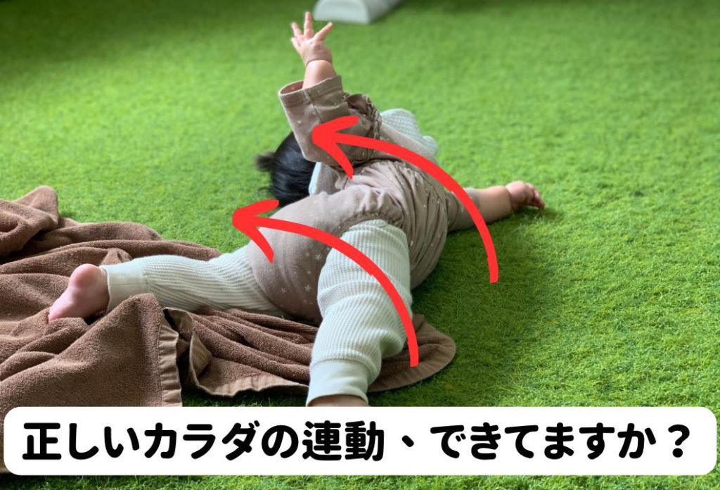 【LIFE STYLE ＋Rebody 】 (あなたらしい健康充実習慣 ＋より動けるカラダつくり)